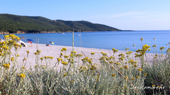 La plage de Cupabia - Serra di Ferro