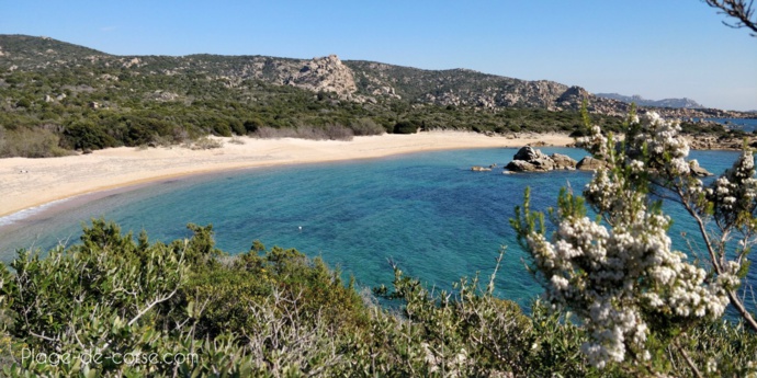 Les plages sauvages du Sud de la Corse
