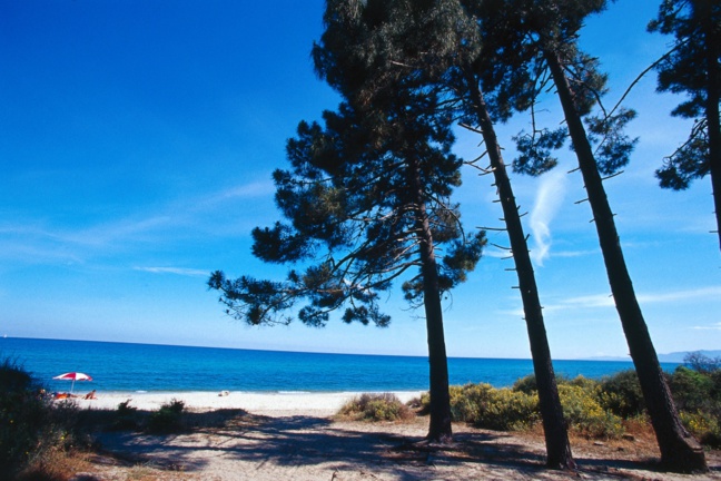 Plage de Pinia - Ghisonaccia