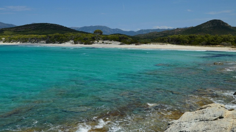 La plage de Saleccia hors saison La plage de Saleccia hors saison