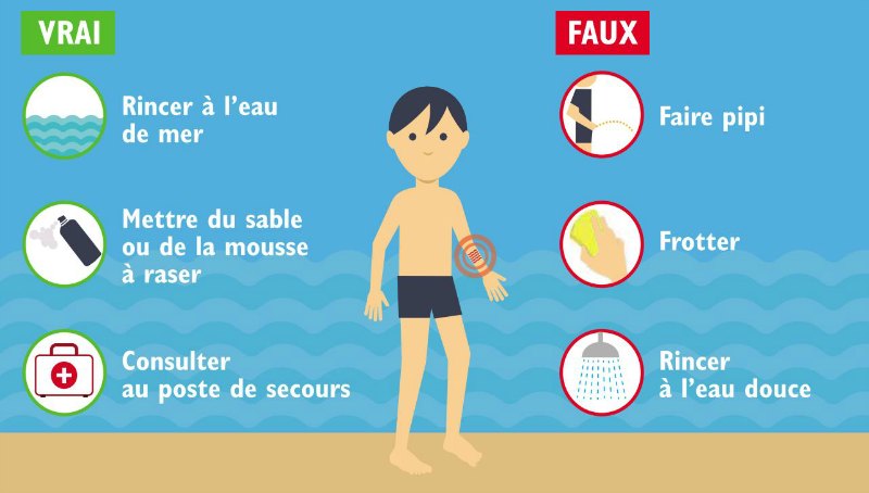 Soigner les piqûres de méduses