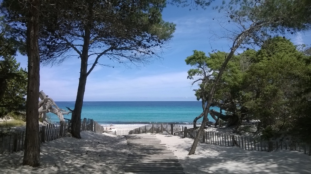 Plage de Saleccia