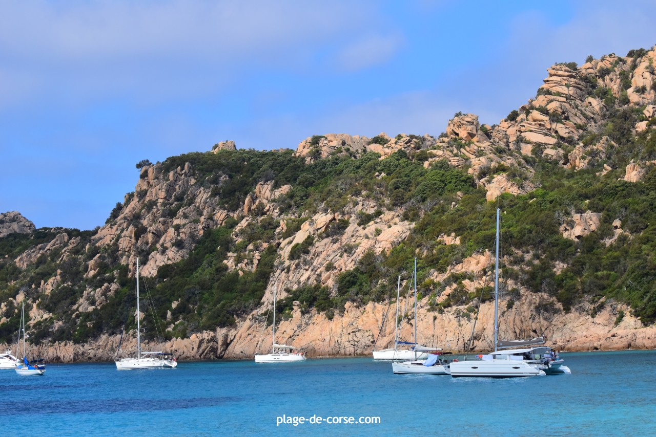 Catamaran à Roccapina