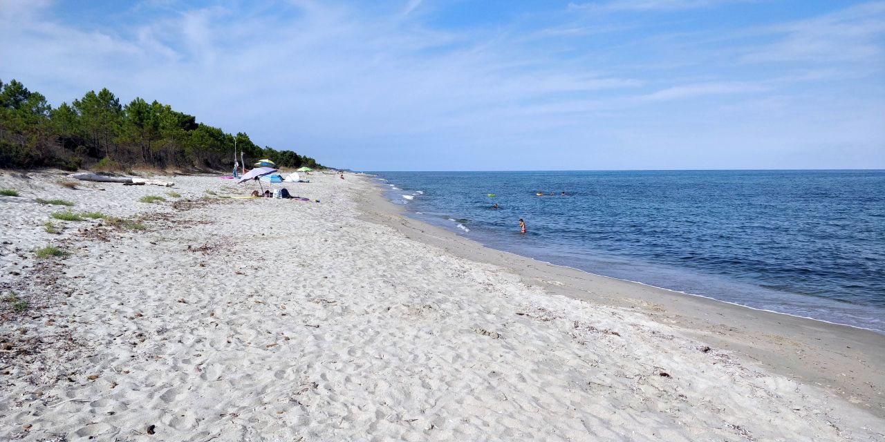 Cet été en Corse, n'oubliez pas les plages de la plaine orientale !