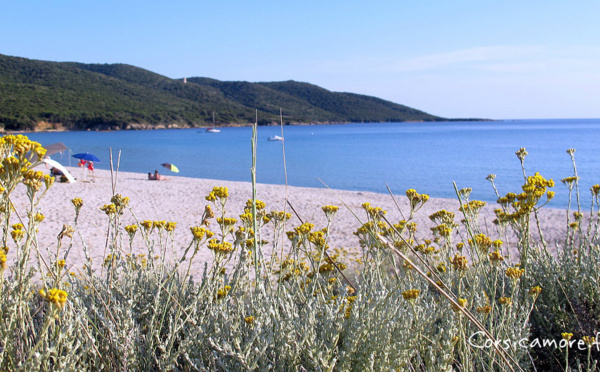 La plage de Cupabia - Serra di Ferro