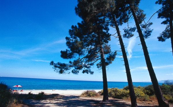 Plage de Pinia - Ghisonaccia